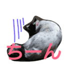 千エ乙ファミリー♪（個別スタンプ：21）