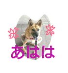 千エ乙ファミリー♪（個別スタンプ：23）