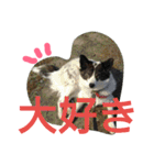 千エ乙ファミリー♪（個別スタンプ：24）