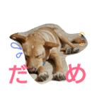 千エ乙ファミリー♪（個別スタンプ：25）