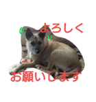 千エ乙ファミリー♪（個別スタンプ：26）