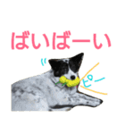 千エ乙ファミリー♪（個別スタンプ：27）