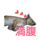 千エ乙ファミリー♪（個別スタンプ：28）