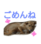 千エ乙ファミリー♪（個別スタンプ：29）