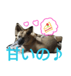 千エ乙ファミリー♪（個別スタンプ：30）