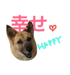 千エ乙ファミリー♪（個別スタンプ：31）