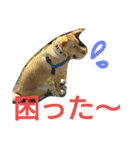 千エ乙ファミリー♪（個別スタンプ：33）
