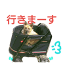 千エ乙ファミリー♪（個別スタンプ：34）