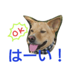 千エ乙ファミリー♪（個別スタンプ：35）