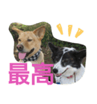 千エ乙ファミリー♪（個別スタンプ：36）
