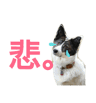 千エ乙ファミリー♪（個別スタンプ：37）