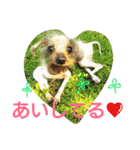 千エ乙ファミリー♪（個別スタンプ：39）