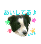 千エ乙ファミリー♪（個別スタンプ：40）