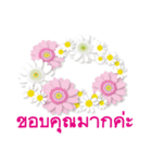 ありがとう花が咲くよ タイ語版（個別スタンプ：3）