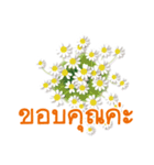 ありがとう花が咲くよ タイ語版（個別スタンプ：6）