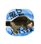 トムの気ままスタンプ（個別スタンプ：3）