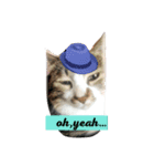 イケメンハチワレねこ、はっちくん（個別スタンプ：3）