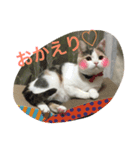 のんちゃんの1日（個別スタンプ：2）