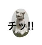 のんちゃんの1日（個別スタンプ：4）