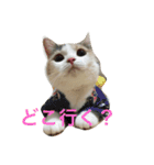 のんちゃんの1日（個別スタンプ：5）
