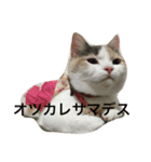 のんちゃんの1日（個別スタンプ：6）