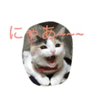 のんちゃんの1日（個別スタンプ：7）