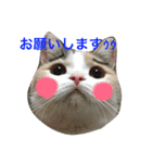 のんちゃんの1日（個別スタンプ：10）