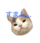 のんちゃんの1日（個別スタンプ：14）