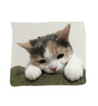 のんちゃんの1日（個別スタンプ：16）