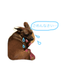 犬の日々（個別スタンプ：5）