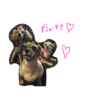 犬の日々（個別スタンプ：7）
