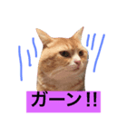 ねこのぷっぷ！（個別スタンプ：6）