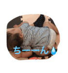 実郁ちゃん写真スタンプ2（個別スタンプ：24）