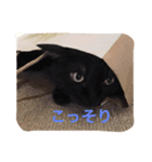 ラブリータクト1（個別スタンプ：4）