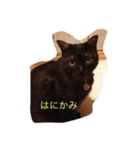 ラブリータクト1（個別スタンプ：6）