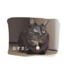ラブリータクト1（個別スタンプ：7）