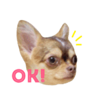 そらくんです（個別スタンプ：2）