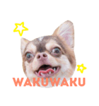 そらくんです（個別スタンプ：5）