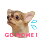 そらくんです（個別スタンプ：7）