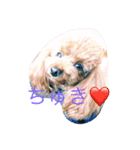 おブス会ティア子（個別スタンプ：1）