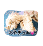 おブス会ティア子（個別スタンプ：3）