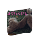 おブス会ティア子（個別スタンプ：4）