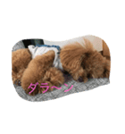 おブス会ティア子（個別スタンプ：8）
