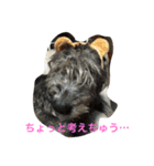 ふぅと愉快な仲間たち（個別スタンプ：1）