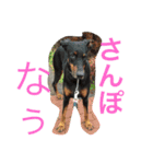 ふぅと愉快な仲間たち（個別スタンプ：2）