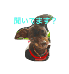 ふぅと愉快な仲間たち（個別スタンプ：3）