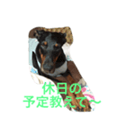 ふぅと愉快な仲間たち（個別スタンプ：5）