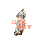 ふぅと愉快な仲間たち（個別スタンプ：6）