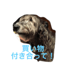 ふぅと愉快な仲間たち（個別スタンプ：7）
