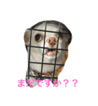 ふぅと愉快な仲間たち（個別スタンプ：8）